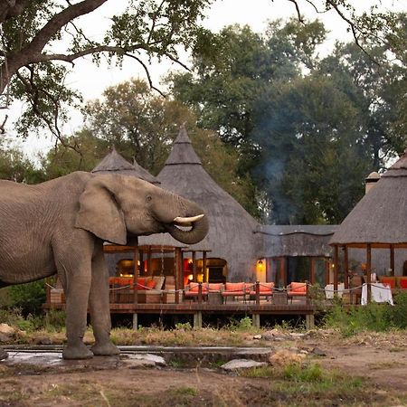 Hoyo Hoyo Safari Lodge Mluwati Concession Zewnętrze zdjęcie