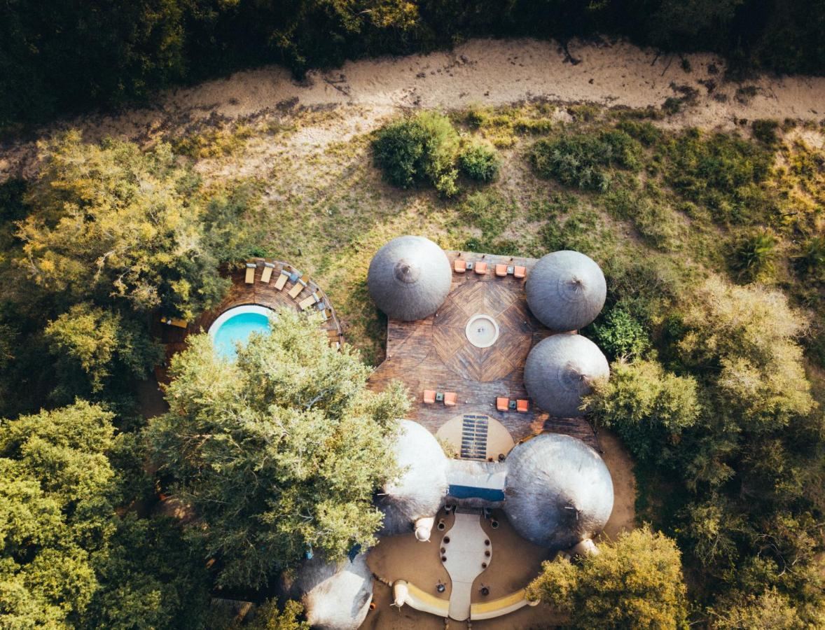 Hoyo Hoyo Safari Lodge Mluwati Concession Zewnętrze zdjęcie